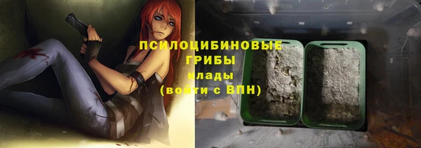 jwh Гусиноозёрск