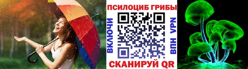 Галлюциногенные грибы прущие грибы  Купить закладки  Калачинск 